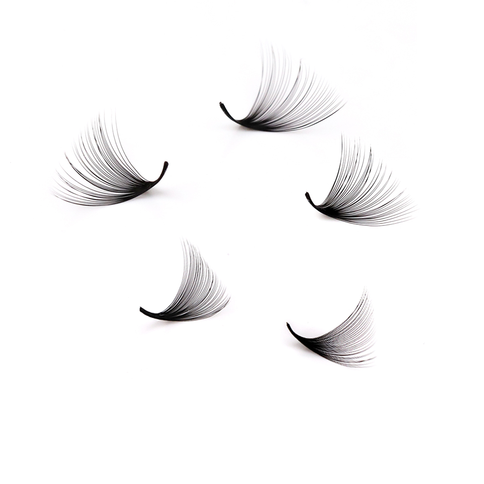 Lashprofessor XL Tray Pestañas - Eyelash Extension Mega Volume reseña y precio